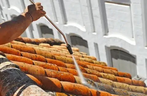 Nettoyage de toitures - Sainte-Opportune-du-Bosc